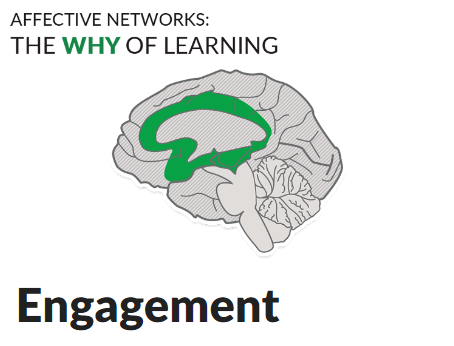 Engagement image of brain